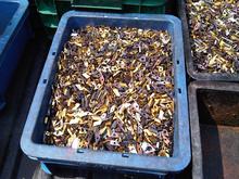 รับซื้อเศษคาร์ไบด์ Buy scrap Carbide รูปที่ 2