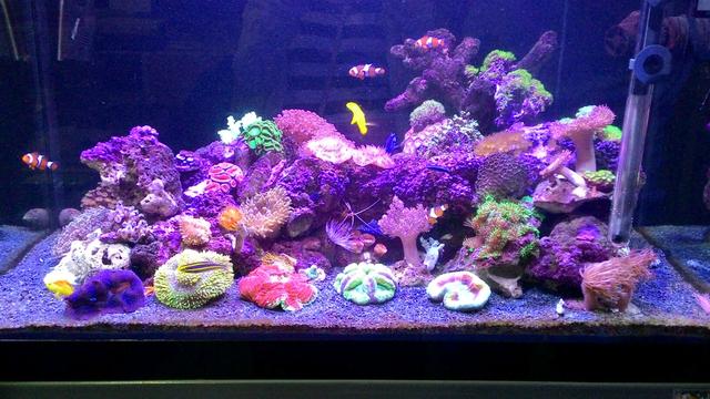 à¸à¸¥à¸à¸²à¸£à¸à¹à¸à¸«à¸²à¸£à¸¹à¸à¸ à¸²à¸à¸ªà¸³à¸«à¸£à¸±à¸ à¸à¸²à¸£à¸à¸±à¸à¸à¸¹à¹à¸à¸¥à¸²