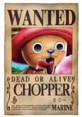 Onepiece wanted poster ใบประกาศจับ รูปที่ 3