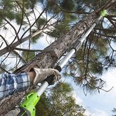 เครื่องตัดกิ่งไม้สูงและแต่งพุ่มต้นไม้สูงไร้สาย greenworks รูปที่ 4