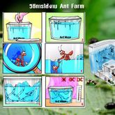 Elit ฟาร์มมดของเล่น บ้านมด ฟาร์มมดเจลเขาวงกต Ant Farm รูปที่ 5