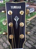 Yamaha DW – 8 Top Solid รูปที่ 5