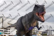 ขาย จำหน่าย ให้เช่า ไดโนเสาร์ Dinosaur T-REX-Rapter-Dino gate รูปที่ 3