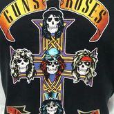 Guns n' Roses ตอกปี 2008 รูปที่ 1