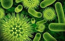 จุลินทรีย์ Bio Best ขจัดปัญากลิ่นเหม็นกองขยะ  ส้วมเหม็นอุดตัน  บ่อดักไขมันตัน รูปที่ 9