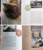 Catคาเฟ่ หนังสือที่จะเปิดโลกสถานเริงรมย์ของเหล่าทาสแมวที่แสนจะpopular in BKK สภาพใหม่ดีมีแมวให้ส่องตะมุตะมิ รูปที่ 8