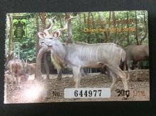 บัตรเข้าเชียงใหม่ไนท์ซาฟารีรอบนั่งรถดูสัตว์กลางคืน (สำหรับคนไทย) รูปที่ 1
