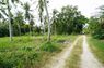 Land for Sale in Koh samui ขายที่ดิน เกาะสมุย 1 ไร่กว่า ใกล้สำนักงานที่ดิน ท่าเรือราชา หาดตลิ่งงาม ที่สวยมาก
