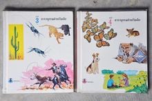 สารานุกรมสำหรับเด็ก ฉบับภาษาไทย 11 เล่ม (ราคาไม่รวมส่ง) รูปที่ 3