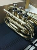 pocket trumpet (ของใหม่) รูปที่ 5
