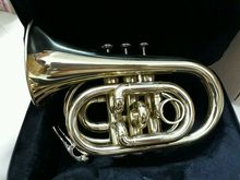 pocket trumpet (ของใหม่) รูปที่ 8