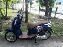   scoopy i ปี57 รูปที่ 2
