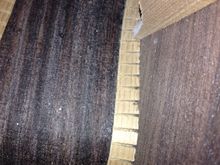 Suzuki Classical Guitar no.36 Japan หาสเป็คไม่เจอร์ดูจากงานน่าจะเป็น Rose Wood ทั้งข้างและหลัง ส่วนบนน่าจะเป็น Solid มีขายที่เว๊ปนอก รูปที่ 6
