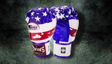 นวมชกมวยลายแฟนซี TWINS Special FANCY Boxing Gloves รูปที่ 2