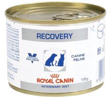 อาหารพักฟื้นหลังผ่าตัดRoyal canin recovery รูปที่ 1