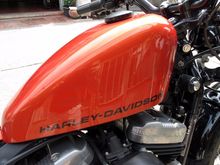 Harley davison 48 ปี2011 ทะเบียน(ติดจอง) รูปที่ 5