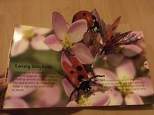 หนังสือป๊อปอัพ “Amazing Bugs” (สำหรับเด็ก) รูปที่ 4
