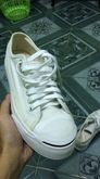 jack purcell size 40 (25.5) รูปที่ 1