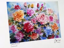 (5504) รูปภาพกุหลาบเวียงพิงค์ รูปที่ 3