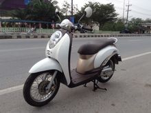 Scoopy-i ปี 53 รูปที่ 3