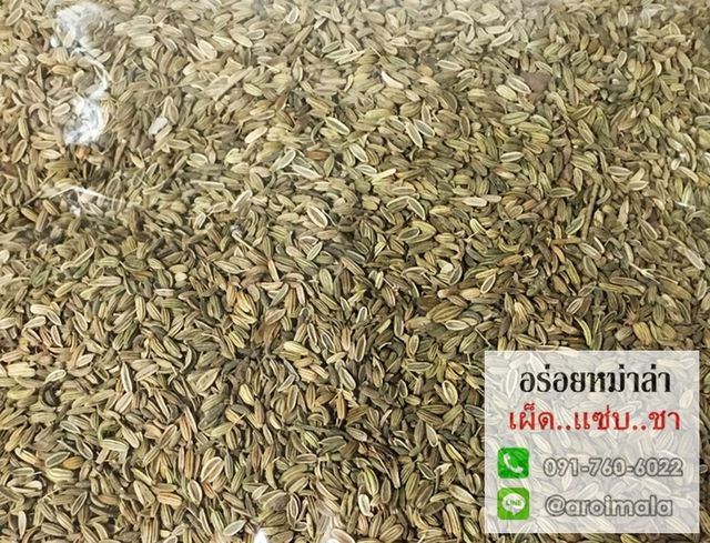 เม็ดยี่หร่า เมล็ดยี่หร่า เทียนขาว คุณภาพอย่างดี หอมมาก