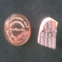 เหรียญพระสุพรหมญาณเถรและหนังช้างเก่าโบราณเนื้อจนกลายเป็นหิน รูปที่ 2