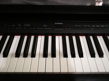 เปียโน Piano Yamaha P155 รูปที่ 2