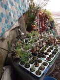 small pots รูปที่ 7