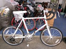 จักรยานมินิป้ายแดง รูปที่ 1