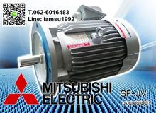 มอเตอร์ไฟฟ้า mitsubishi แบบหน้าแปลน ขนาด 40 แรง รูปที่ 1