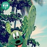 ต้น Cactus Micky Mouse (prickly pear cactus) รูปที่ 4