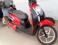 Scoopy-i ปี 54 รูปที่ 1