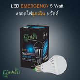 ลดพิเศษหลอดไฟ Emergency 5 และ 6 W แสง วอร์มและเดย์ไลท์ SKT Lantern รูปที่ 2