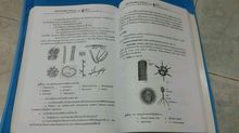 หนังสือเตรียมสอบ ชีววิทยา รูปที่ 5