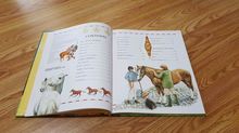 The Best-Ever Book of Horses (รวมส่ง) รูปที่ 4