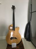 Warwick Alien Standard 4String Acoustic Bass รูปที่ 8