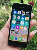 iPhone SE 16GB สีดำ สวย เครื่องศูนย์ไทย ใช้งานเยี่ยม ถูกๆ ด้านในครับ รูปที่ 1