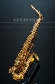 Overtone OAS-101 Gold Lacquer Alto Saxophone รูปที่ 1