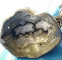 ม้าทองเหลือง เก่าสะสม รูปที่ 3