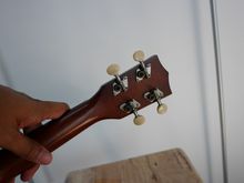 ขาย ukulele makala mk-s สภาพดี ขาย 1550 ค่ะ รูปที่ 6