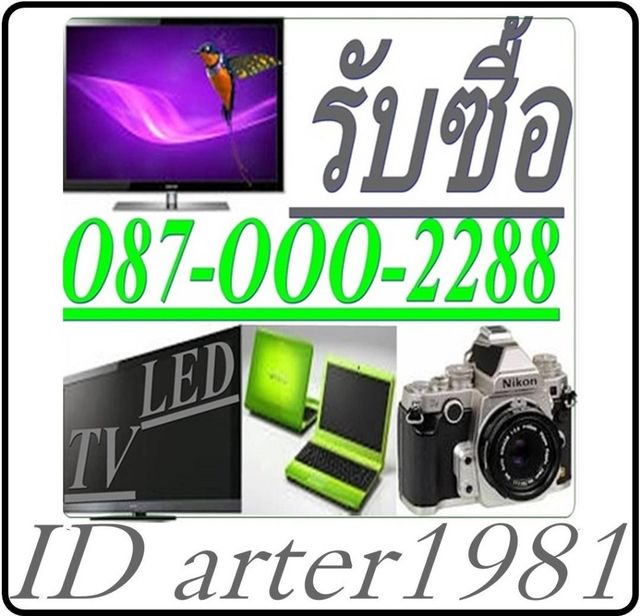 My Image 39