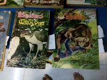 หนังสือป่าชาลีเอี่ยมกระสินธุ์ 9 เล่มขายเหมา800 รูปที่ 3