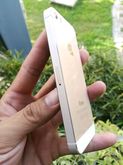 iphone 5s 32g สีทอง ยังสวย ใช้งานปกติ ด้านในครับ รูปที่ 3