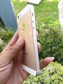 iphone 5s 32g สีทอง ยังสวย ใช้งานปกติ ด้านในครับ รูปที่ 4