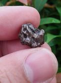 Gibeon Meteorite รูปที่ 5
