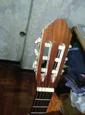 Yoshida Classic guitar Japan รูปที่ 1