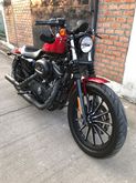 Harley 883 รูปที่ 2