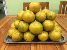 ส้มสายน้ำผึ้ง ส้มเขียวหวาน  10 กิโลกรัม 400 บาท (เฉลี่ย กิโลกรัมละ 40 บาท)​ รบกวนทักแชทก่อนสั่งนะครับ รูปที่ 4