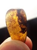 อำพันพม่า แบบมีซากใบไม้🌿  Burmite Amber with Leaf  Size 4.6 ct รูปที่ 4