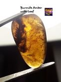 อำพันพม่า แบบมีซากใบไม้🌿  Burmite Amber with Leaf  Size 4.6 ct รูปที่ 1